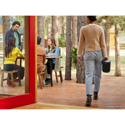 Умная колонка Sonos Move (черный)