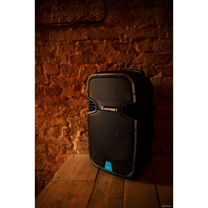 Патибокс Blaupunkt PA12