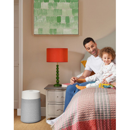 Очиститель воздуха Blueair Blue Max 3350i