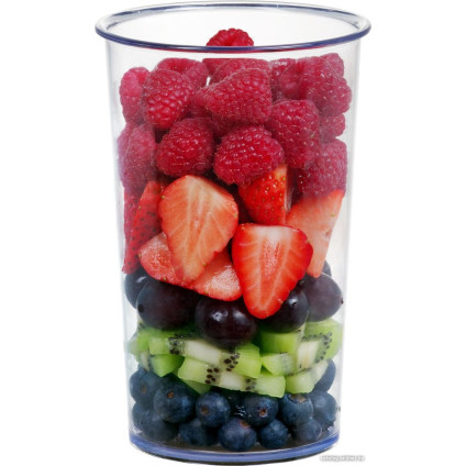 Погружной блендер Concept TM5510