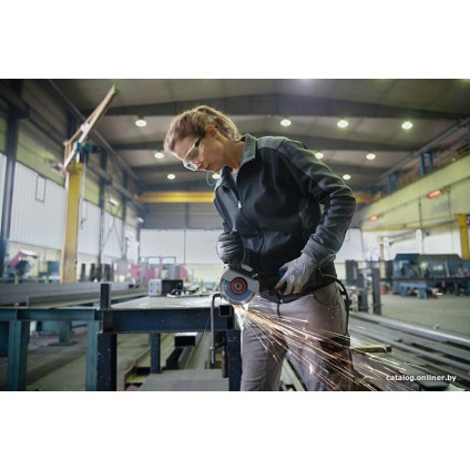 Угловая шлифмашина Bosch GWX 17-125 S Professional 06017D2300