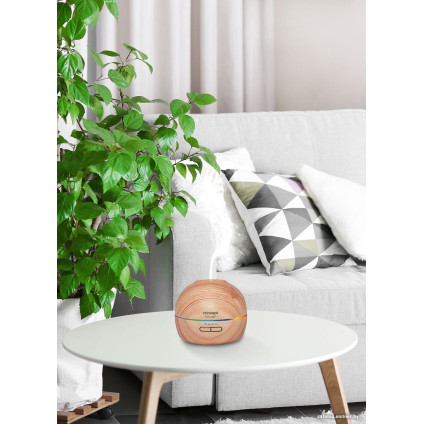 Увлажнитель воздуха Concept ZV1005