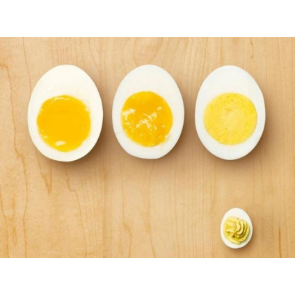 Яйцеварка CASO E3