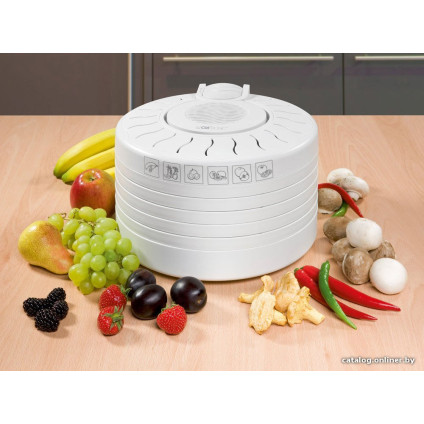 Сушилка для овощей и фруктов Clatronic DR 2751