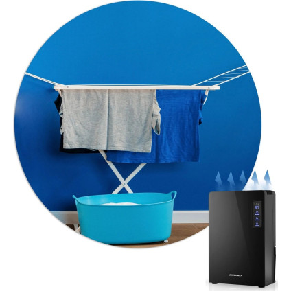 Осушитель воздуха Berdsen BR-22A (чёрный)