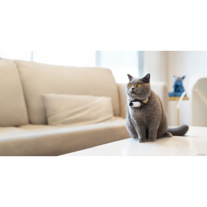 Экшен-камера Insta360 GO3 64GB (арктический белый)