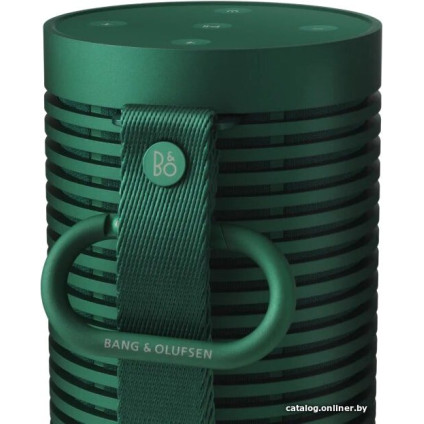 Беспроводная колонка Bang & Olufsen Beosound Explore (зеленый)