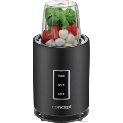 Стационарный блендер Concept SM1500