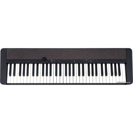 Цифровое пианино Casio CT-S1 (черный)