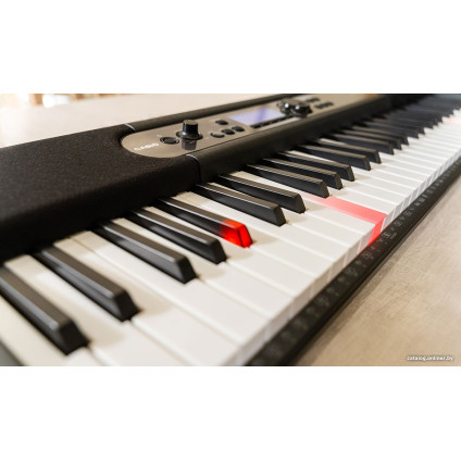 Синтезатор Casio LK-S450