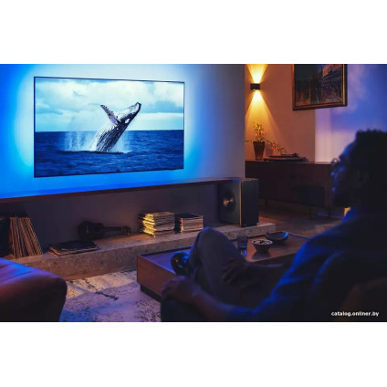 Беспроводной сабвуфер Philips Fidelio TAFW1/10