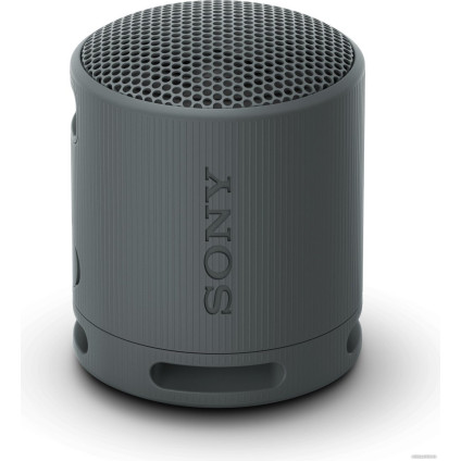 Беспроводная колонка Sony XB100 (черный)