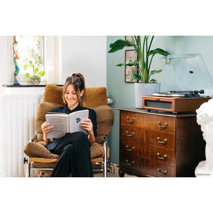 Виниловый проигрыватель Lenco LS-430BN