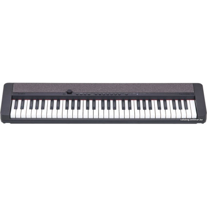 Цифровое пианино Casio CT-S1 (черный)