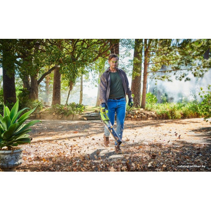 Ручная воздуходувка Ryobi OBL18JB (без АКБ)