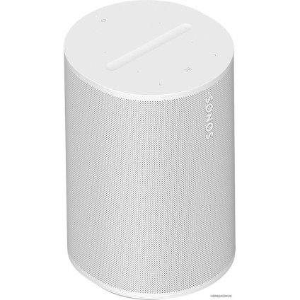 Беспроводная аудиосистема Sonos Era 100 (белый)