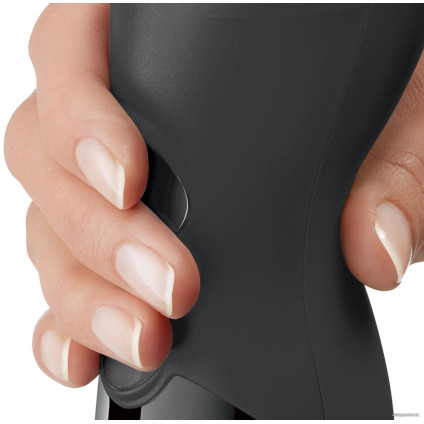 Погружной блендер Bosch MS62B6190