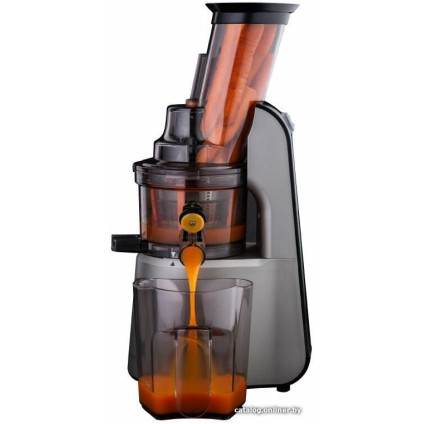 Соковыжималка Goetze & Jensen SJ901T