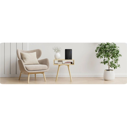 Осушитель воздуха Berdsen BR-22A (чёрный)