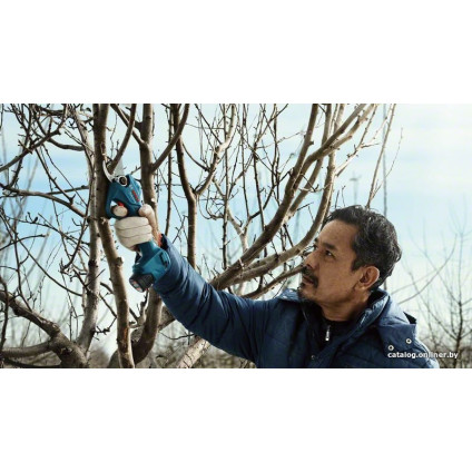 Секатор Bosch Pro Pruner Professional 06019K1021 (с 2-мя АКБ)