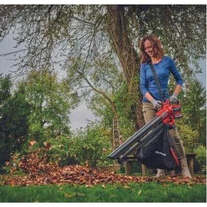 Колесная воздуходувка Einhell Venturro 18/210 3433625 (без АКБ)