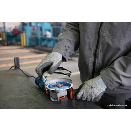 Угловая шлифмашина Bosch GWX 17-125 S Professional 06017D2300