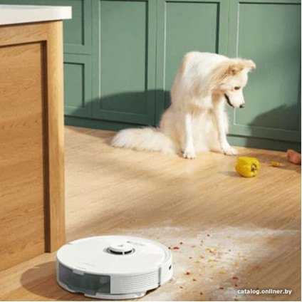 Робот-пылесос Roborock Q8 Max (с английской озвучкой, белый)