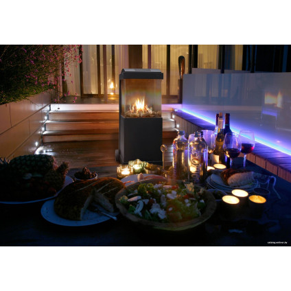 Биокамин Faber theBUZZ