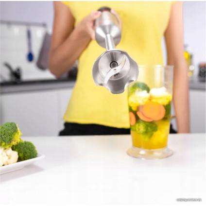 Погружной блендер Zelmer ZHB4650