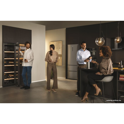 Винный шкаф Haier HWS247GGU1