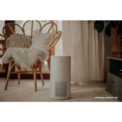 Очиститель воздуха Haus & Luft HL-OP-11/WiFi