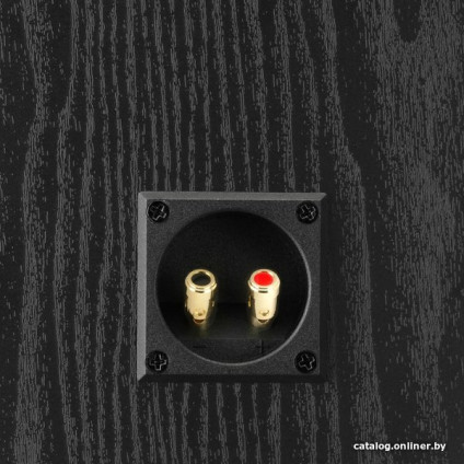 Внешний модуль объемного звука DALI Alteco C-1 (черный)