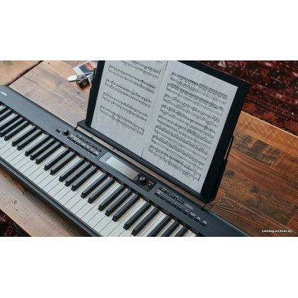 Цифровое пианино Casio CDP-S360