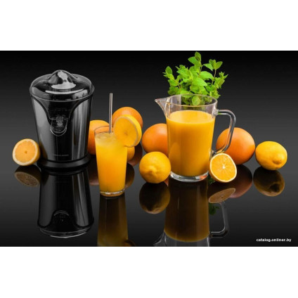 Соковыжималка Goetze & Jensen CJ500X