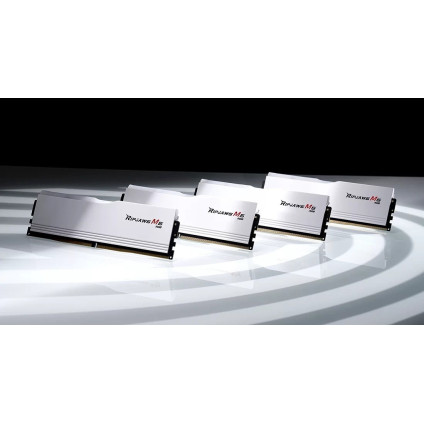 Оперативная память G.Skill Ripjaws M5 RGB 2x32ГБ DDR5 5200 МГц F5-5200J4040A32GX2-RM5RW