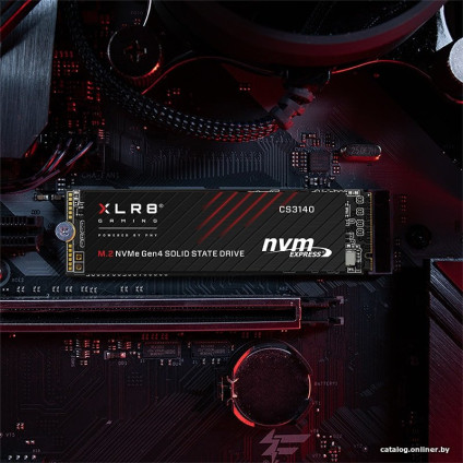 SSD PNY XLR8 CS3140 Heatsink 2TB M280CS3140-2TB-RB