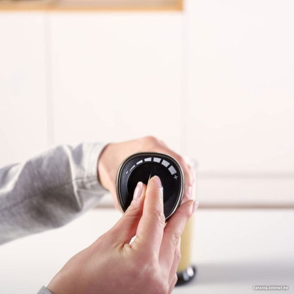 Погружной блендер Black & Decker BXHB800E