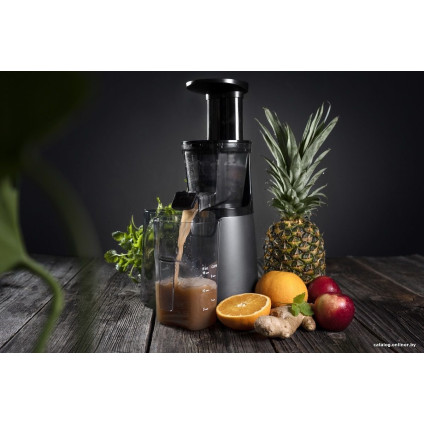 Соковыжималка Concept LO7211