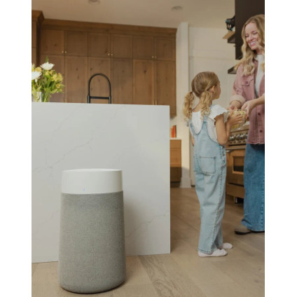 Очиститель воздуха Blueair Blue Max 3450i