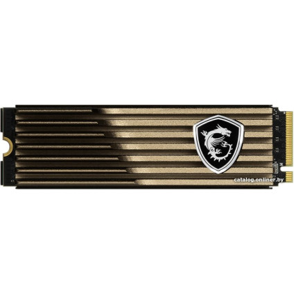 SSD MSI Spatium M570 HS 2TB S78-440Q560-P83