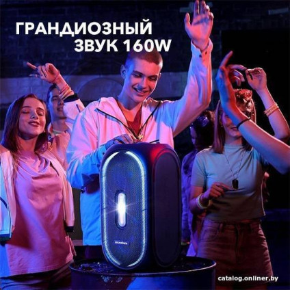 Патибокс Anker SoundCore Rave+