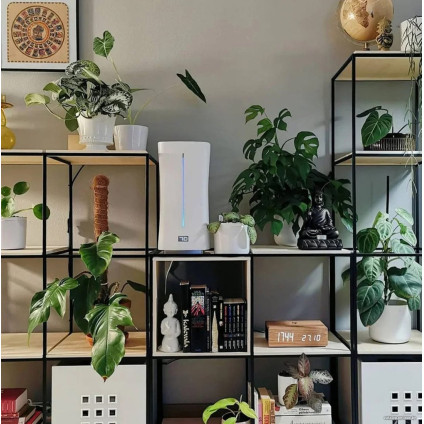 Увлажнитель воздуха Stadler Form Eva Wi-Fi (белый)