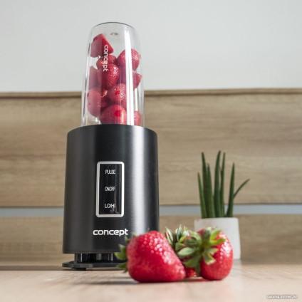 Стационарный блендер Concept SM1500