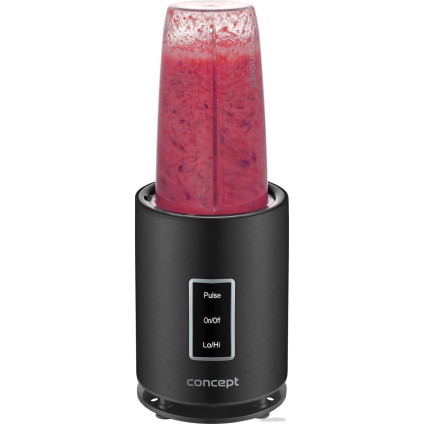 Стационарный блендер Concept SM1500