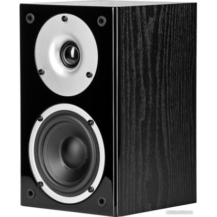 Полочная акустика WILSON Raptor Mini (черный)