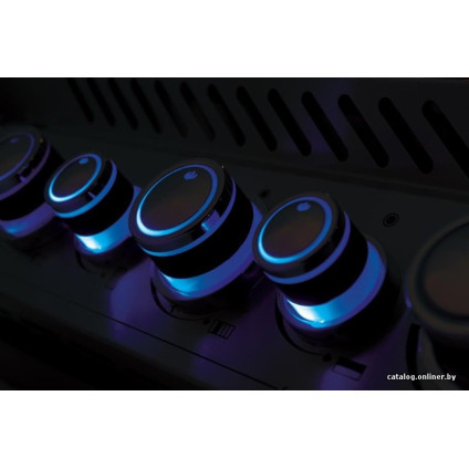 Газовый гриль для дачи Napoleon Prestige PRO-665