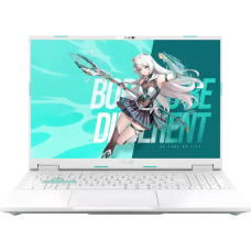 Игровой ноутбук ASUS TUF Gaming Tianxuan F16 FX608LP275-0ECFXHB8X10