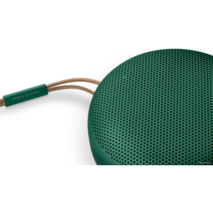 Беспроводная колонка Bang & Olufsen Beosound A1 2nd Gen (зеленый)