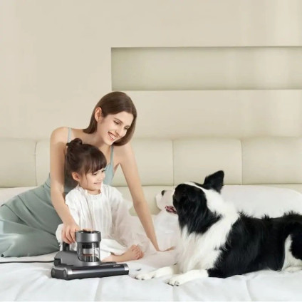 Пылесос для удаления пылевых клещей Jimmy BX7 (графит/золото)