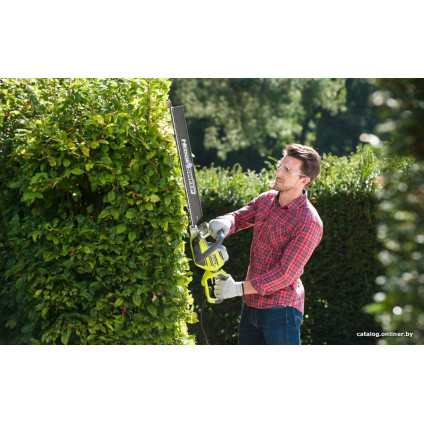Кусторез Ryobi RHT8165RL